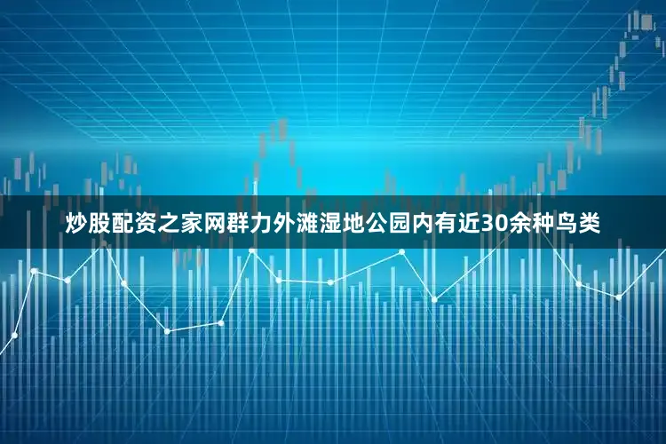 炒股配资之家网群力外滩湿地公园内有近30余种鸟类