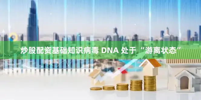 炒股配资基础知识病毒 DNA 处于 “游离状态”